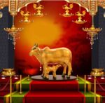 Handcrafted Polyresin Kamdhenu Cow Gold With Gold fowling Effect Figurine with Calf for Full Filling Wishes of Human Being (Multicolour, 27x14x22) cm