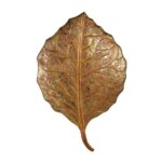 Golden Designer Leaf Wall Art Decorative Wall Plate,Wall Decor Plates for Home & Office Decoration - Image 2